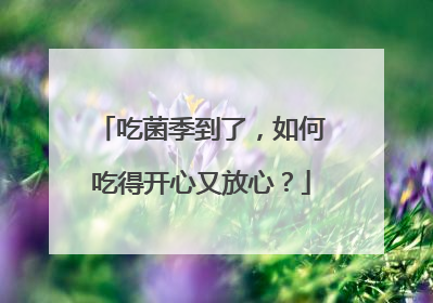 吃菌季到了，如何吃得开心又放心？