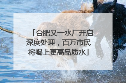 合肥又一水厂开启深度处理，百万市民将喝上更高品质水