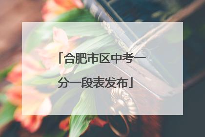 合肥市区中考一分一段表发布