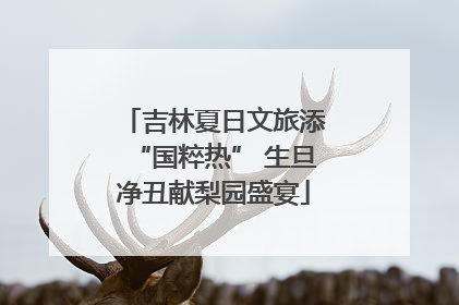 吉林夏日文旅添“国粹热” 生旦净丑献梨园盛宴
