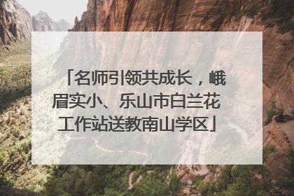 名师引领共成长，峨眉实小、乐山市白兰花工作站送教南山学区