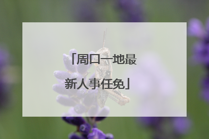 周口一地最新人事任免