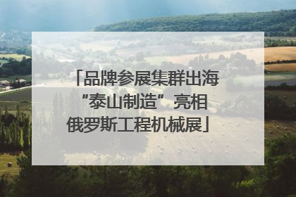 品牌参展集群出海 “泰山制造”亮相俄罗斯工程机械展