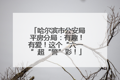 哈尔滨市公安局平房分局：有趣！有爱！这个“六一”超“警”彩！