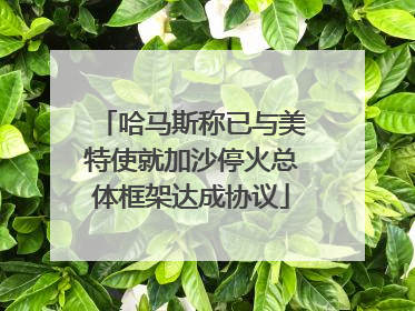 哈马斯称已与美特使就加沙停火总体框架达成协议