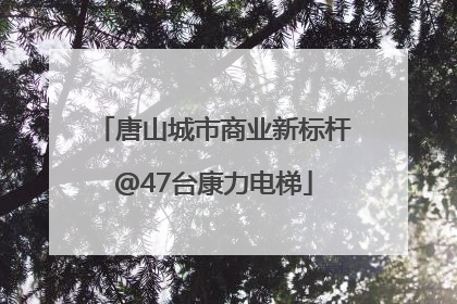 唐山城市商业新标杆@47台康力电梯