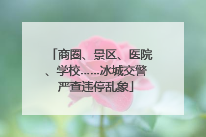 商圈、景区、医院、学校……冰城交警严查违停乱象