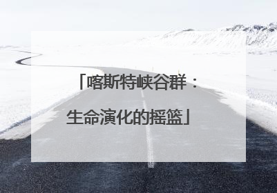 喀斯特峡谷群：生命演化的摇篮