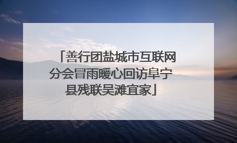 善行团盐城市互联网分会冒雨暖心回访阜宁县残联吴滩宜家