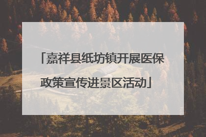 嘉祥县纸坊镇开展医保政策宣传进景区活动