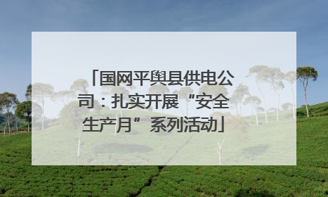 国网平舆县供电公司：扎实开展“安全生产月”系列活动