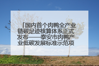 国内首个肉鸭全产业链碳足迹核算体系正式发布——泰安市肉鸭产业低碳发展标准示范项目顺利通过验收