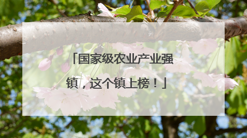 国家级农业产业强镇，这个镇上榜！
