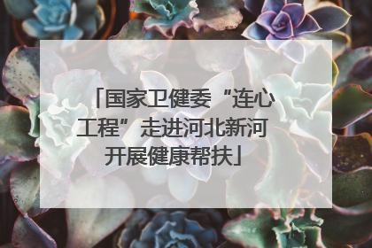 国家卫健委“连心工程”走进河北新河开展健康帮扶