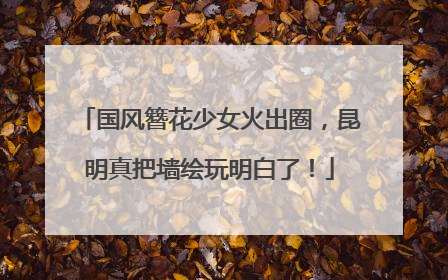 国风簪花少女火出圈，昆明真把墙绘玩明白了！