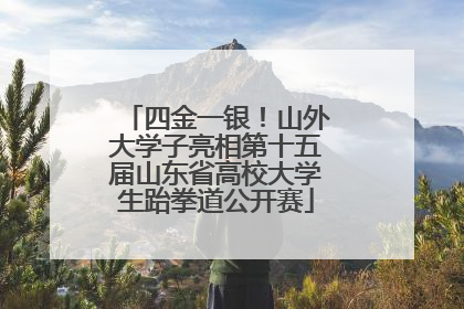 四金一银！山外大学子亮相第十五届山东省高校大学生跆拳道公开赛