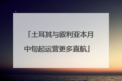 土耳其与叙利亚本月中旬起运营更多直航
