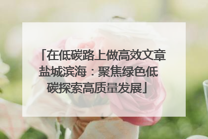 在低碳路上做高效文章 盐城滨海：聚焦绿色低碳探索高质量发展