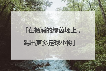 在杨浦的绿茵场上，踢出更多足球小将
