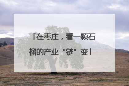 在枣庄，看一颗石榴的产业“链”变
