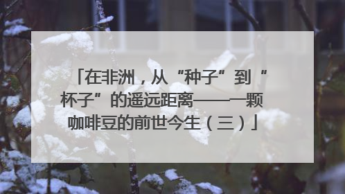 在非洲，从“种子”到“杯子”的遥远距离——一颗咖啡豆的前世今生（三）