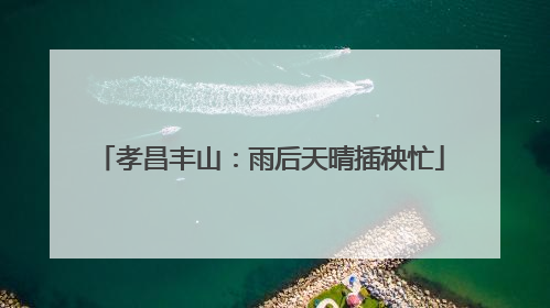 孝昌丰山：雨后天晴插秧忙