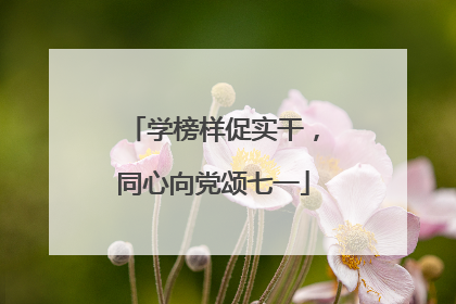 学榜样促实干，同心向党颂七一