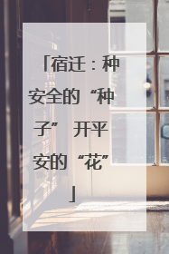 宿迁：种安全的“种子” 开平安的“花”