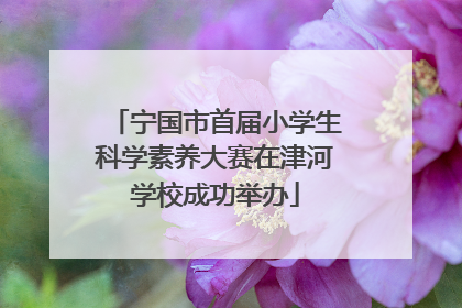 宁国市首届小学生科学素养大赛在津河学校成功举办