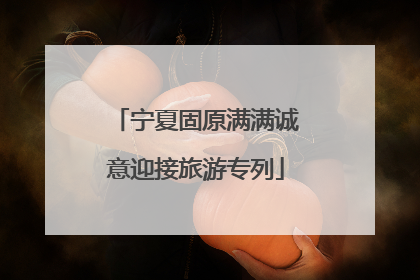宁夏固原满满诚意迎接旅游专列