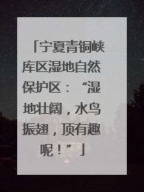 宁夏青铜峡库区湿地自然保护区：“湿地壮阔，水鸟振翅，顶有趣呢！”