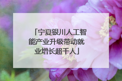 宁夏银川人工智能产业升级带动就业增长超千人