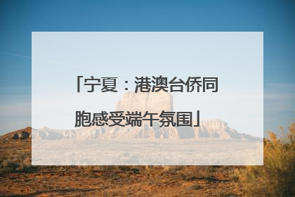 宁夏：港澳台侨同胞感受端午氛围