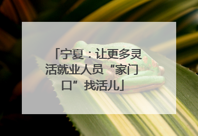宁夏：让更多灵活就业人员“家门口”找活儿