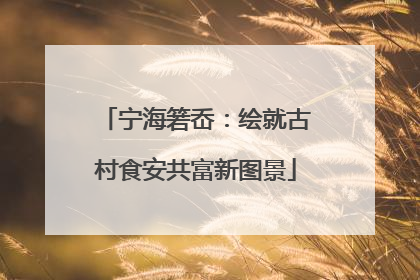 宁海箬岙：绘就古村食安共富新图景