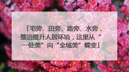 宅旁、田旁、路旁、水旁，整治提升人居环境，这里从“一处美”向“全域美”蝶变