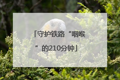 守护铁路“咽喉”的210分钟