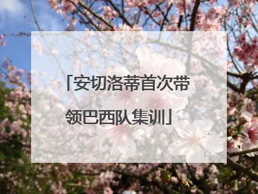 安切洛蒂首次带领巴西队集训