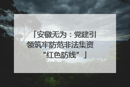 安徽无为：党建引领筑牢防范非法集资“红色防线”