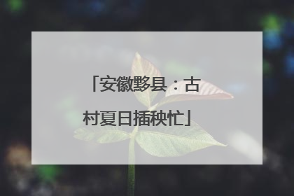 安徽黟县：古村夏日插秧忙