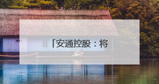 安通控股：将继续专注主业 增强业务优势