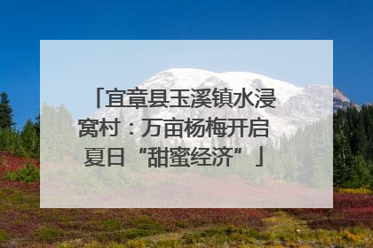 宜章县玉溪镇水浸窝村：万亩杨梅开启夏日“甜蜜经济”
