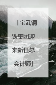 宝武钢铁集团迎来新任总会计师