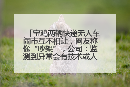 宝鸡两辆快递无人车闹市互不相让，网友称像“吵架”，公司：监测到异常会有技术或人为干预处置