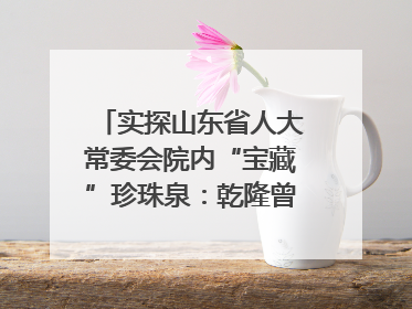 实探山东省人大常委会院内“宝藏”珍珠泉：乾隆曾为它题诗，游客无需预约免费游览
