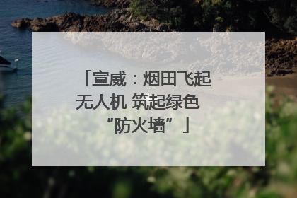 宣威：烟田飞起无人机 筑起绿色“防火墙”