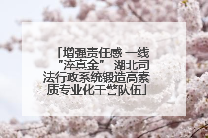 增强责任感 一线“淬真金” 湖北司法行政系统锻造高素质专业化干警队伍