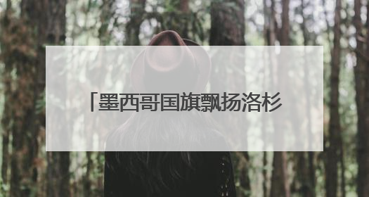 墨西哥国旗飘扬洛杉矶 白宫：看，罪证