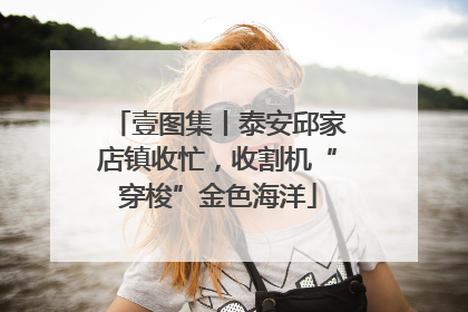 壹图集丨泰安邱家店镇收忙，收割机“穿梭”金色海洋
