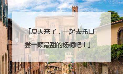 夏天来了，一起去托口尝一颗最甜的杨梅吧！